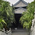 IMG30097 Yue Hui Garden  Dongguan 